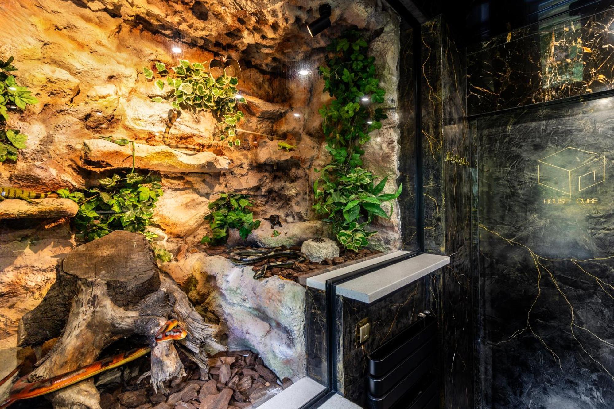Housecube, Bar , Prywatne Kino, Bilard , Luxus Villa Wroclaw Dış mekan fotoğraf